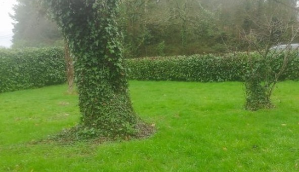 Logement �tudiant T4 &agrave; Abbaretz (44170)