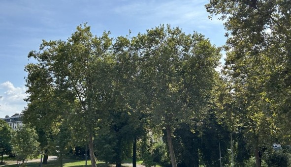 Logement tudiant T4 à Amiens (80090)