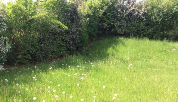 Logement �tudiant T4 &agrave; Arras (62000)