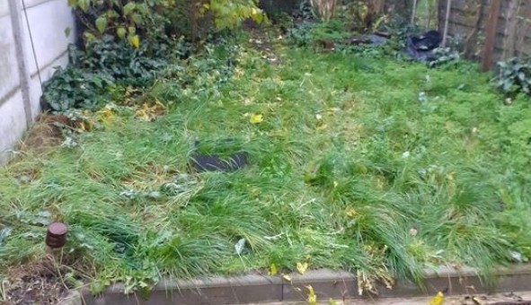 Logement �tudiant T4 &agrave; Aulnoy lez Valenciennes (59300)