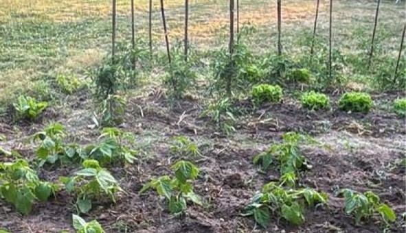 Logement �tudiant T4 &agrave; Azay le Rideau (37190)