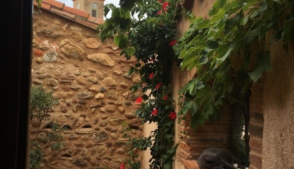 Logement �tudiant T4 &agrave; Banyuls dels Aspres (66300)