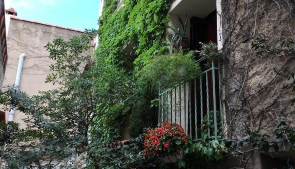Logement �tudiant T4 &agrave; Banyuls dels Aspres (66300)