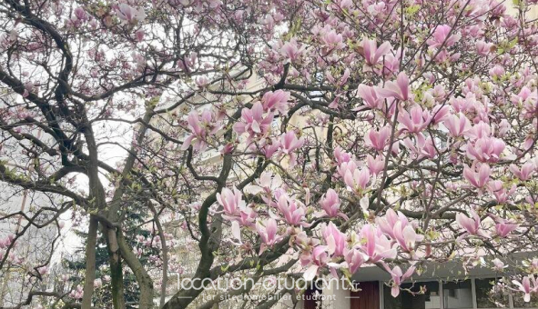 Logement �tudiant T4 &agrave; Boulogne Billancourt (92100)