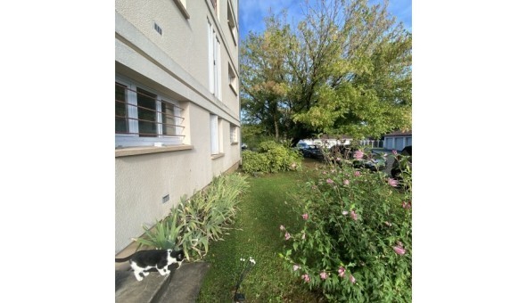 Logement tudiant T4 à Bourrou (24110)