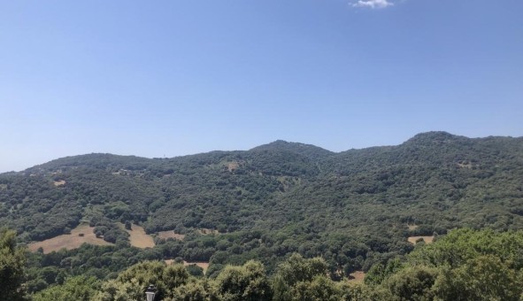 Logement tudiant T4 à Cardo torgia (20190)