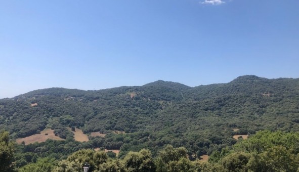 Logement �tudiant T4 &agrave; Cardo torgia (20190)