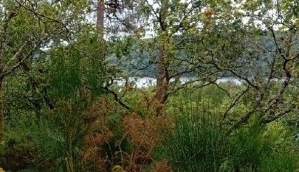 Logement �tudiant T4 &agrave; Caurel (22530)