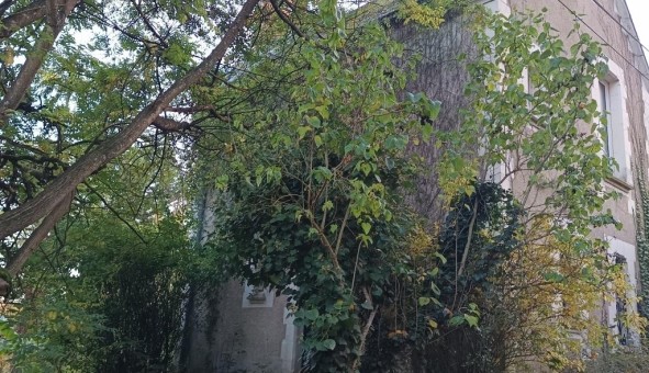 Logement tudiant T4 à Chaumont sur Loire (41150)