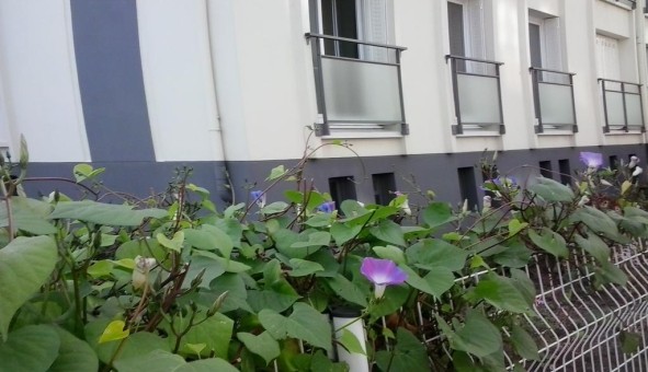 Logement �tudiant T4 &agrave; Clermont Ferrand (63000)