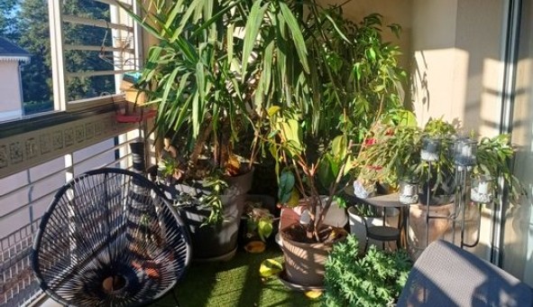 Logement �tudiant T4 &agrave; Craponne (69290)
