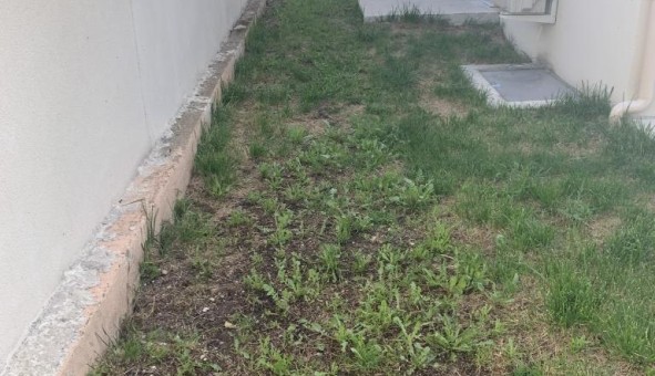Logement tudiant T4 à Entraigues sur la Sorgue (84320)