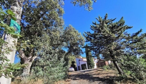 Logement �tudiant T4 &agrave; Laroque des Alb�res (66740)