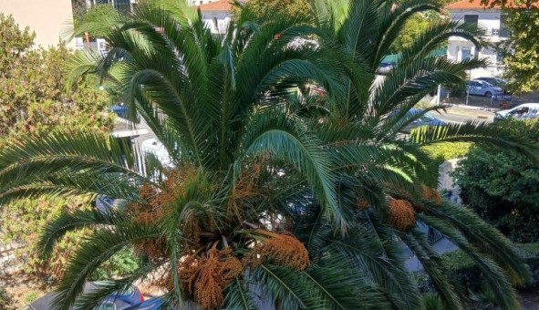 Logement tudiant Location T4 Vide Les Adrets de l'Estrel (83600)