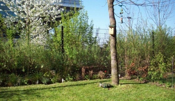 Logement �tudiant T4 &agrave; Lille (59800)