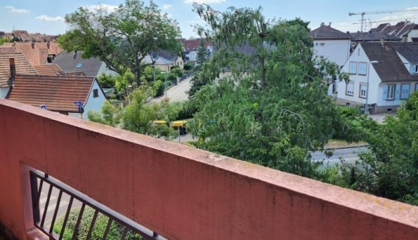 Logement tudiant T4 à Lingolsheim (67380)