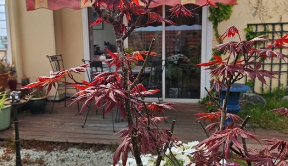 Logement �tudiant Location T4 Vide Lyon 3�me arrondissement (69003)