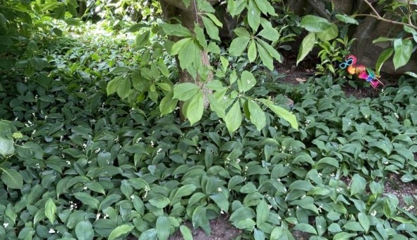 Logement tudiant T4 à Montigny ls Metz (57158)