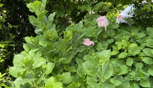 Logement tudiant T4 à Montigny ls Metz (57158)