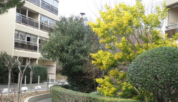 Logement �tudiant Location T4 Vide Montpellier (34080)