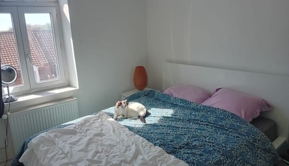 Logement �tudiant T4 &agrave; Saint Andr� lez Lille (59350)