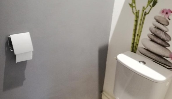 Logement �tudiant T4 &agrave; Saint Gilles (30800)