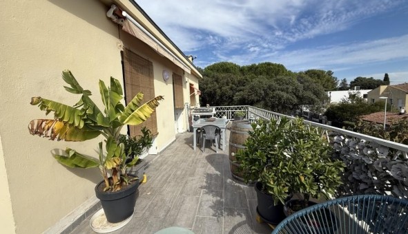 Logement tudiant T4 à Saint Jean de Vdas (34430)