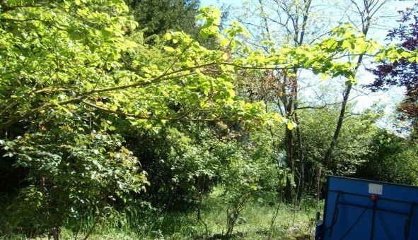 Logement tudiant T4 à Saint Yrieix sur Charente (16710)