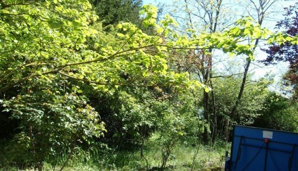 Logement �tudiant T4 &agrave; Saint Yrieix sur Charente (16710)