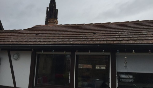 Logement �tudiant T4 &agrave; Strasbourg (67000)