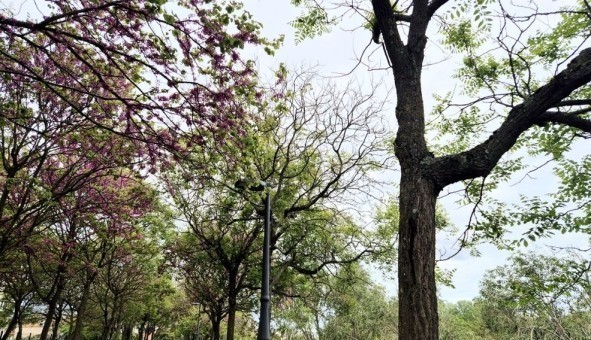 Logement �tudiant T4 &agrave; Toulouse (31500)
