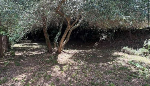 Logement �tudiant T5 &agrave; Adissan (34230)