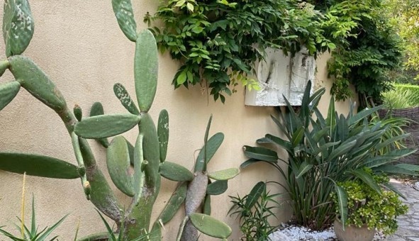 Logement tudiant T5 à Antibes (06160)