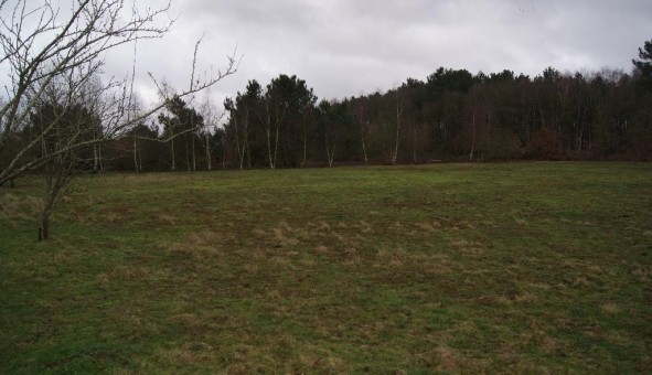 Logement tudiant T5 à Arnage (72230)