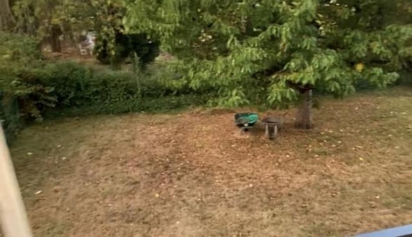 Logement tudiant T5 à Autry le Chtel (45500)