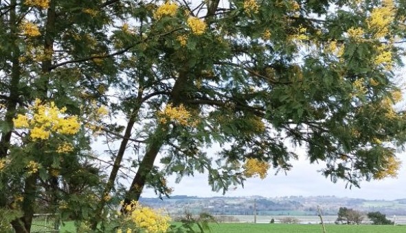 Logement �tudiant T5 &agrave; Camo�l (56130)