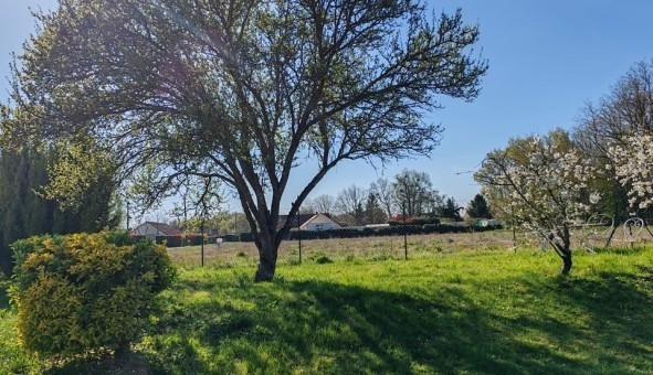 Logement �tudiant T5 &agrave; Cepoy (45120)