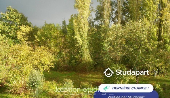 Logement tudiant T5 à Chalonnes sur Loire (49290)