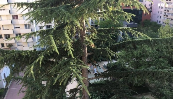 Logement tudiant T5 à Paris 15me arrondissement (75015)