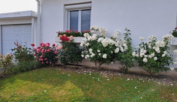 Logement tudiant T5 à Reims (51100)