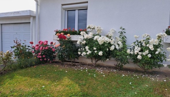 Logement �tudiant T5 &agrave; Reims (51100)