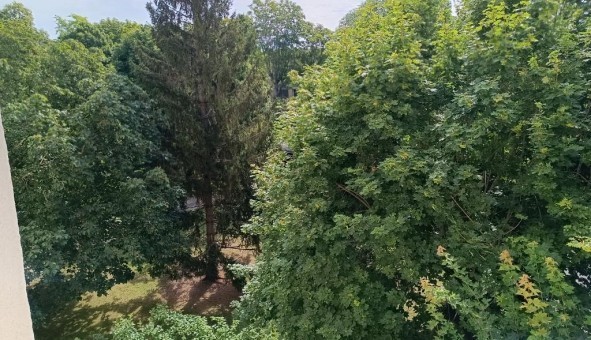 Logement étudiant T5 à Saint Germain en Laye (78100)