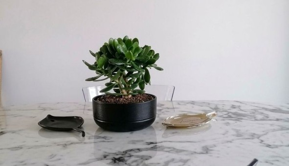 Logement �tudiant T5 &agrave; Tarbes (65000)