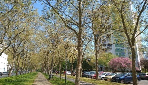 Logement tudiant Colocation à Angers (49000)