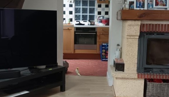 Logement tudiant Colocation à Boissise le Roi (77310)