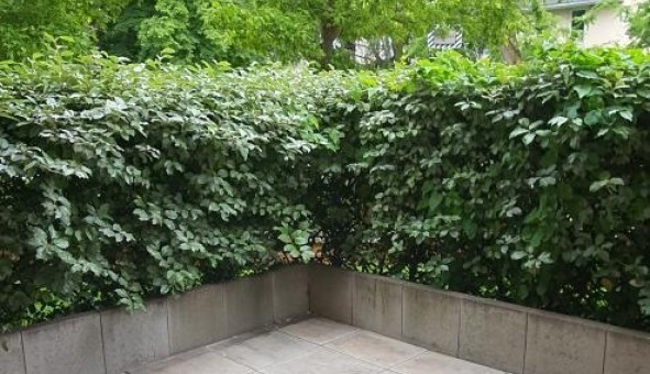 Logement tudiant Colocation à Crteil (94000)