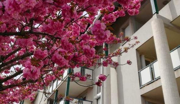 Logement tudiant Colocation à Gires (38610)