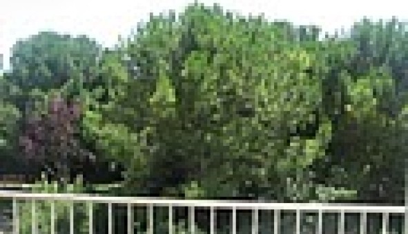 Logement tudiant Colocation à Montpellier (34080)