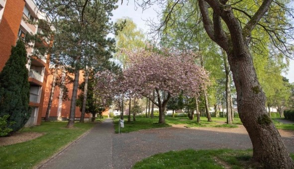 Logement tudiant Colocation à Rouen (76100)