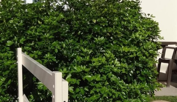 Logement tudiant Colocation à Saint Nazaire (44600)